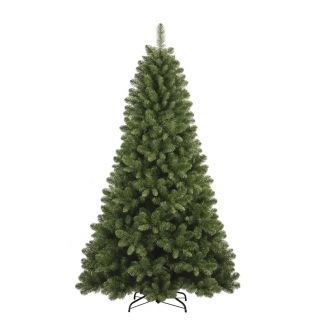 Albero Natale COLOSSEO cm 180 PVC T684 D99 - Flora